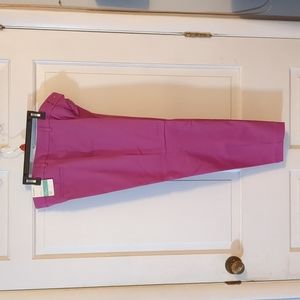 Pixie Ankle Length Pants